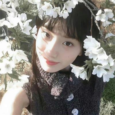 陆贞传奇